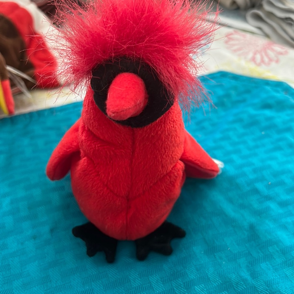 Mac the cardinal beanie baby